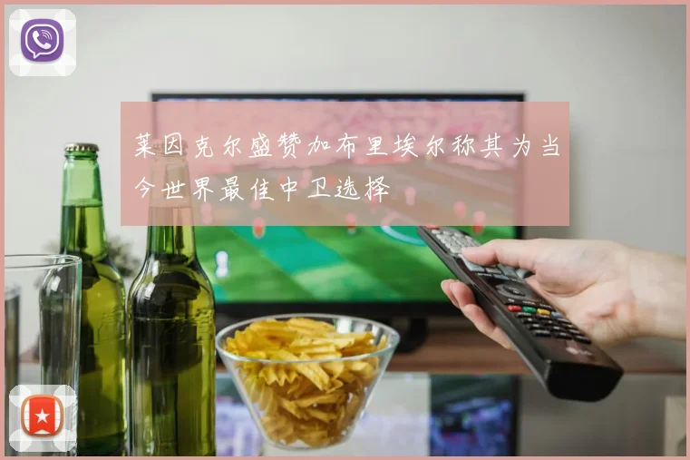 莱因克尔盛赞加布里埃尔称其为当今世界最佳中卫选择