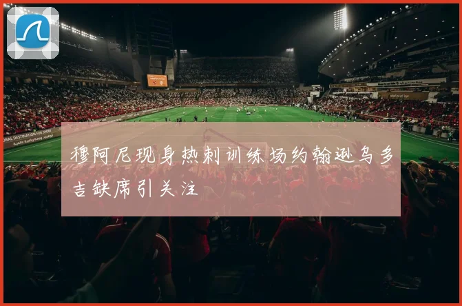 穆阿尼现身热刺训练场约翰逊乌多吉缺席引关注