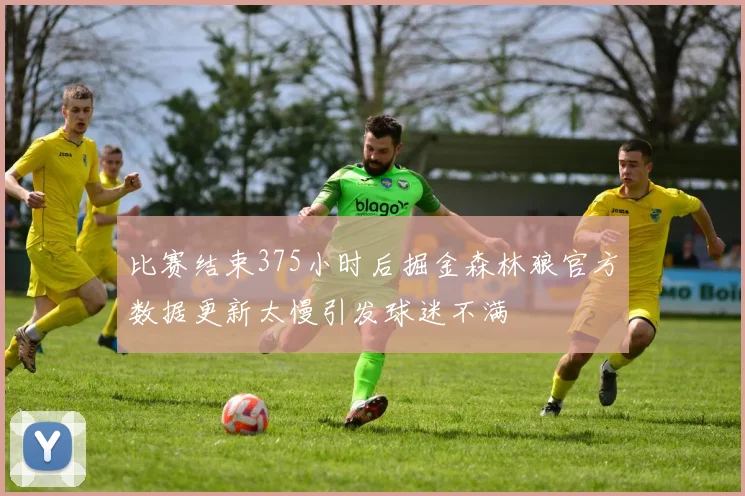 比赛结束375小时后掘金森林狼官方数据更新太慢引发球迷不满