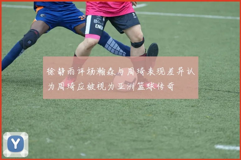 徐静雨评杨瀚森与周琦表现差异认为周琦应被视为亚洲篮球传奇