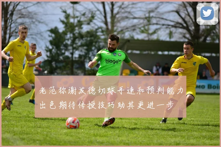 老范称谢泼德切球手速和预判能力出色期待传授技巧助其更进一步
